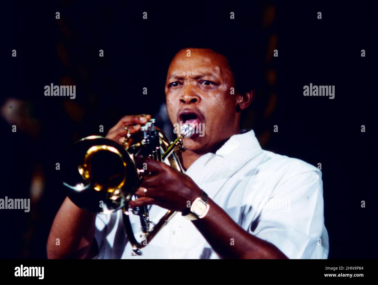 Hugh Masekela, auch bekannt als Bra Hugh, Jazzmusiker, Trompeter, Flügelhornist und Kornettist aus Südafrika, hier bei einem Auftritt in der ZDF Unterhaltungssendung: Show und Co mit Carlo, 1984. Hugh Masekela, also known as Bra Hugh, jazz musician, trumpeter, flugelhorn player and cornet player from South Africa, here performing in the ZDF entertainment programme: Show und Co mit Carlo, 1984. Stock Photo