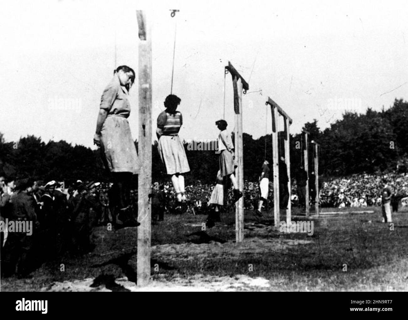 Execution of Stutthof concentration camp overseers at Biskupia Górka (from left to right): Jenny-Wanda Barkmann, Ewa Paradies, Elisabeth Becker, Wanda Klaff and Gerda Steinhoff, further the guard SS-Oberscharführer Johann Pauls (the chief of the work detail 'Waldkolonne') and Polish kapos Stock Photo