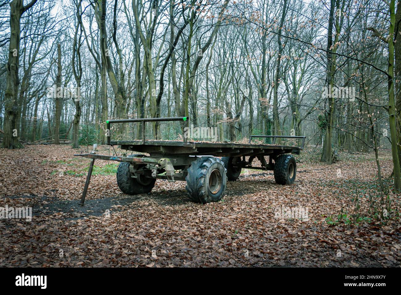 Old farm wagon in the nature reserve with the name 'de Klencke' the name means shallow place in a stream, province of Drenthe, The Netherlands Stock Photo