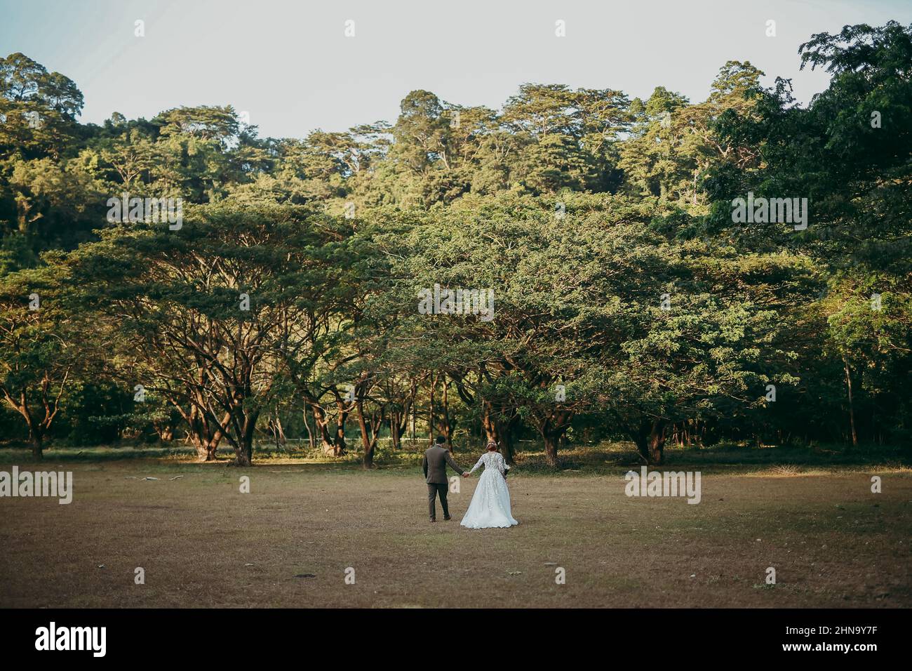 Bride and a groom walking in the forest on a sunny day Stock Photo - Alamy
