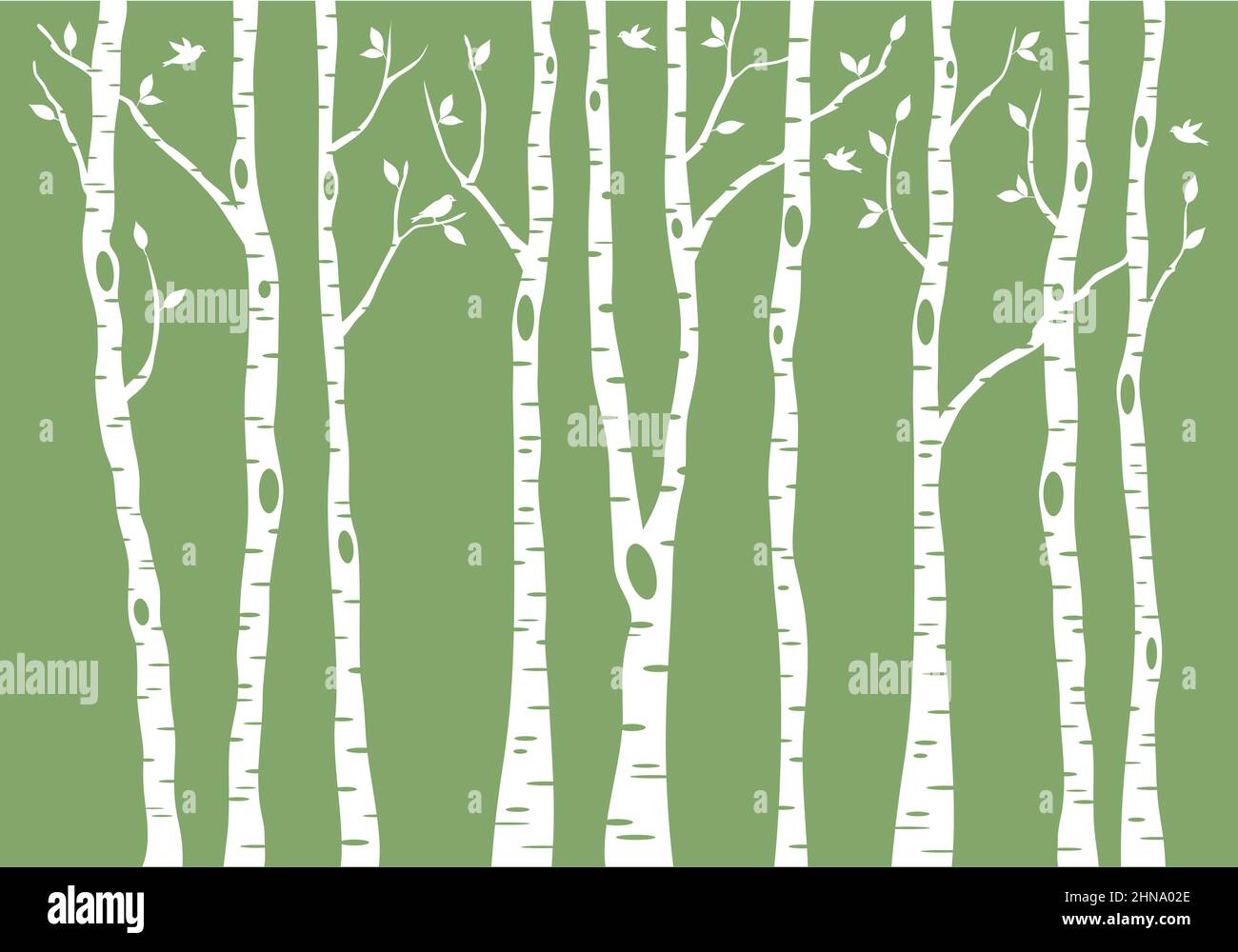 birch tree forest with birds, vector illustration on green background Stock Vector