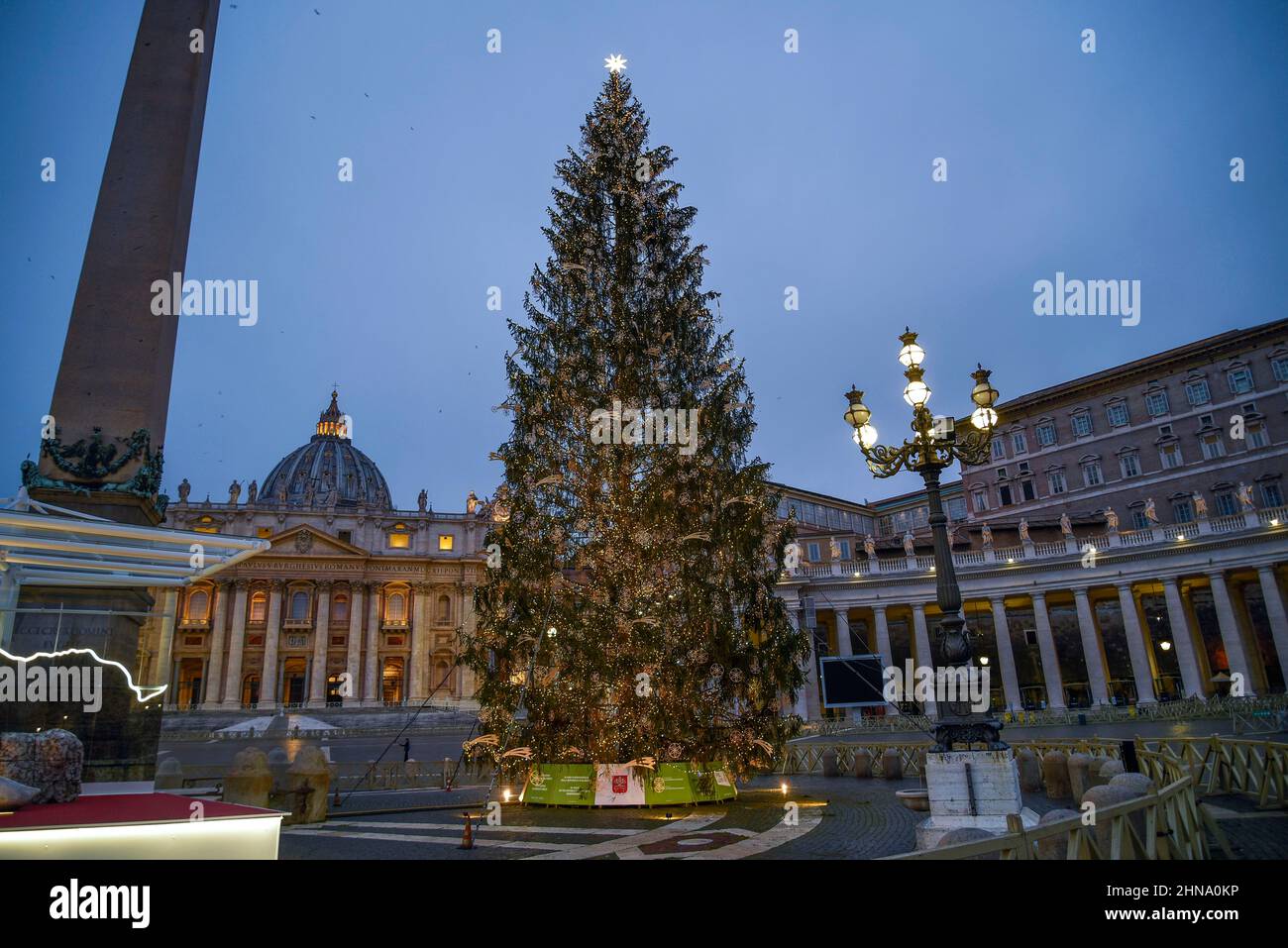 Italy, Rome, December 25th, 2020. The Vatican's traditional Christmas tree    Photo © Fabio Mazzarella/Sintesi/Alamy Stock Photo Stock Photo