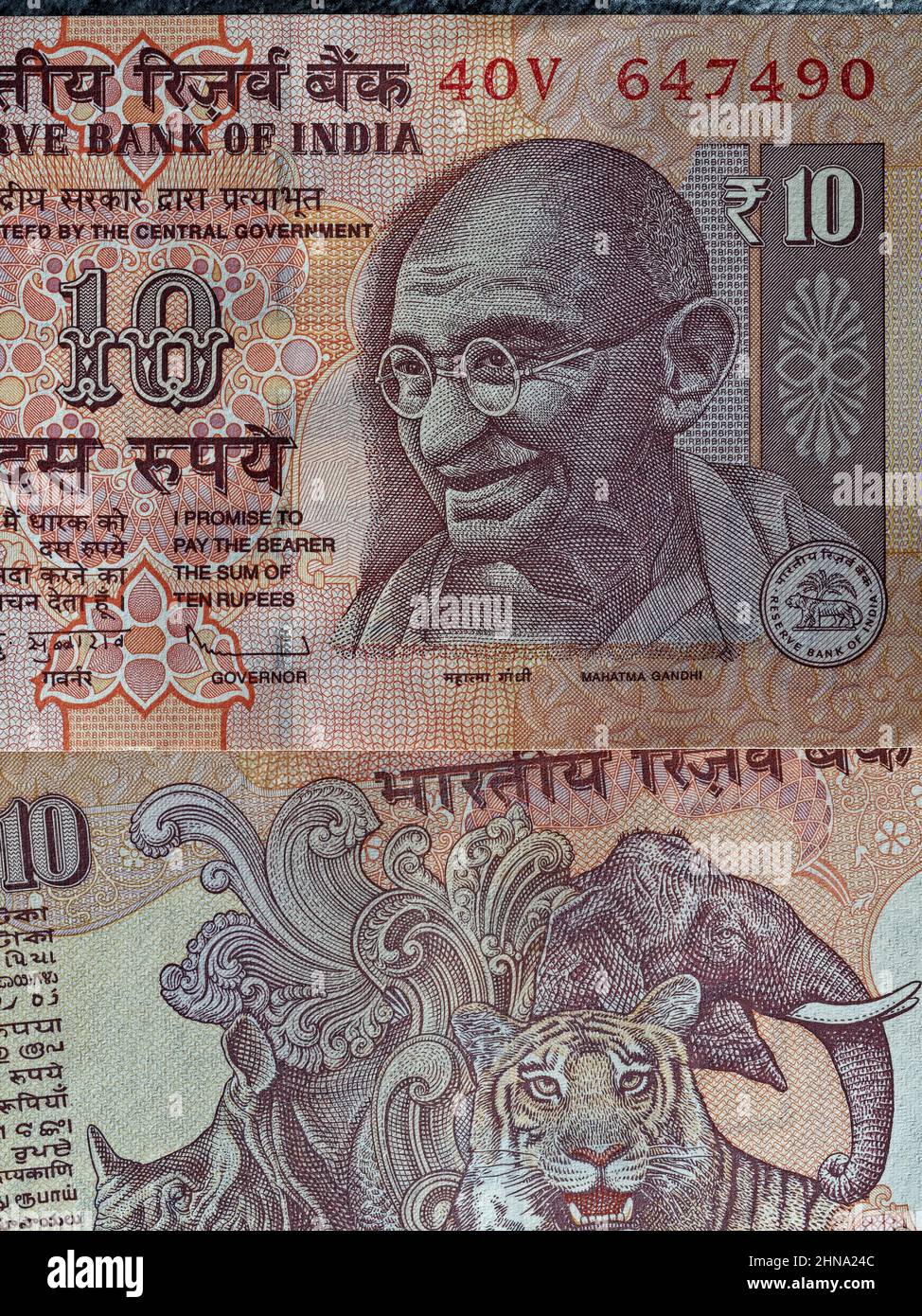 02 13 2022 Face of Mahatma Gandhi and reverse side Elephant Rhinoceros and tiger depicted  on Ten rupees bank note 10 rupee indian currency.Studio Sho Stock Photo