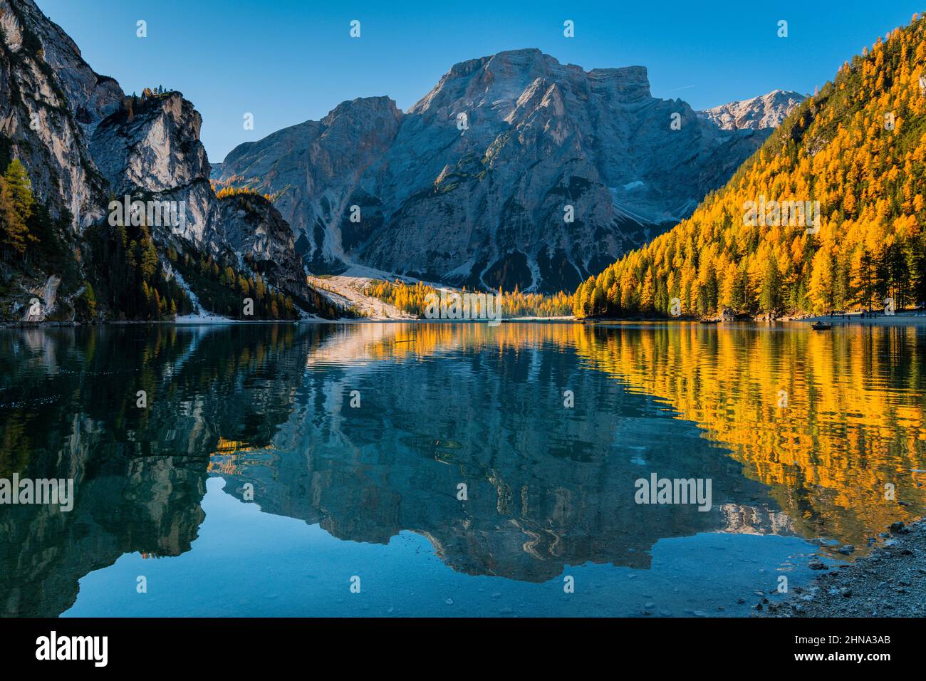 Autumn And Golden Reflections On Lake Braies Park Of The Dolomites Autumn And Golden Reflections On Lake Braies Park Of The Dolomites