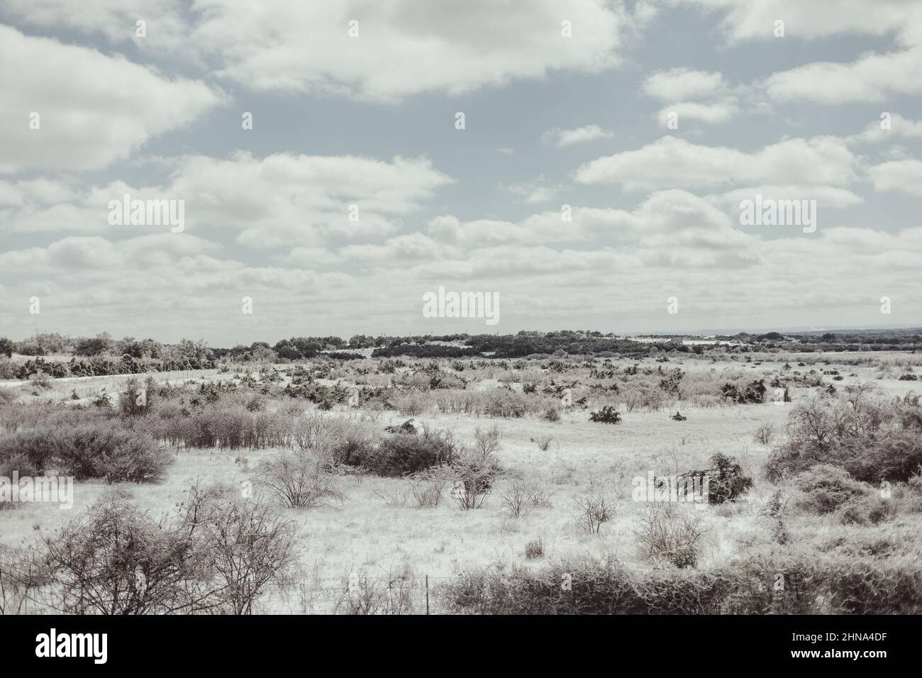 Forest Ranch Snow Beautiful view of snow winter ranch Stock Photo - Alamy