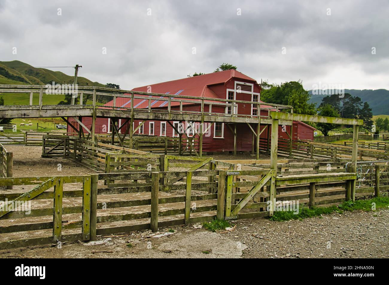 The traditional shearing shed of Battle Hill Farm, a sheep farm in