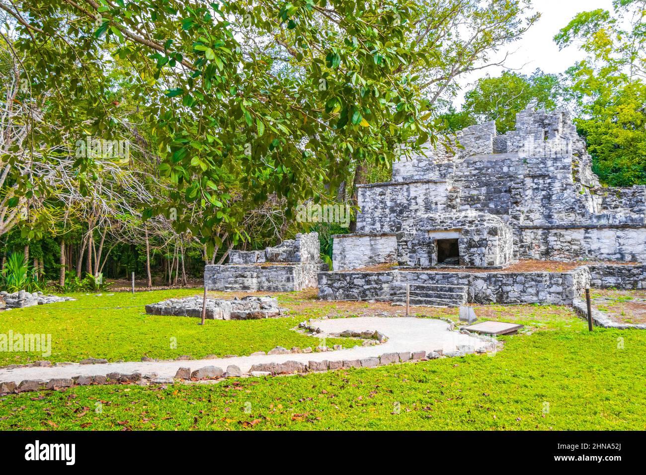 Ancient Mayan site with temple ruins pyramids and artifacts in the tropical natural jungle forest palm trees and walking trails in Muyil Chunyaxche Qu Stock Photo