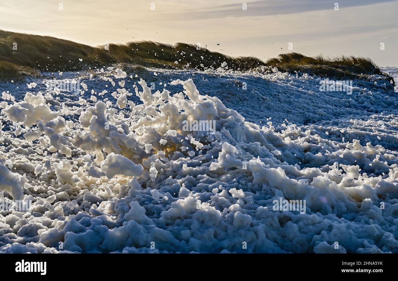 Causes foam hires stock photography and images Alamy