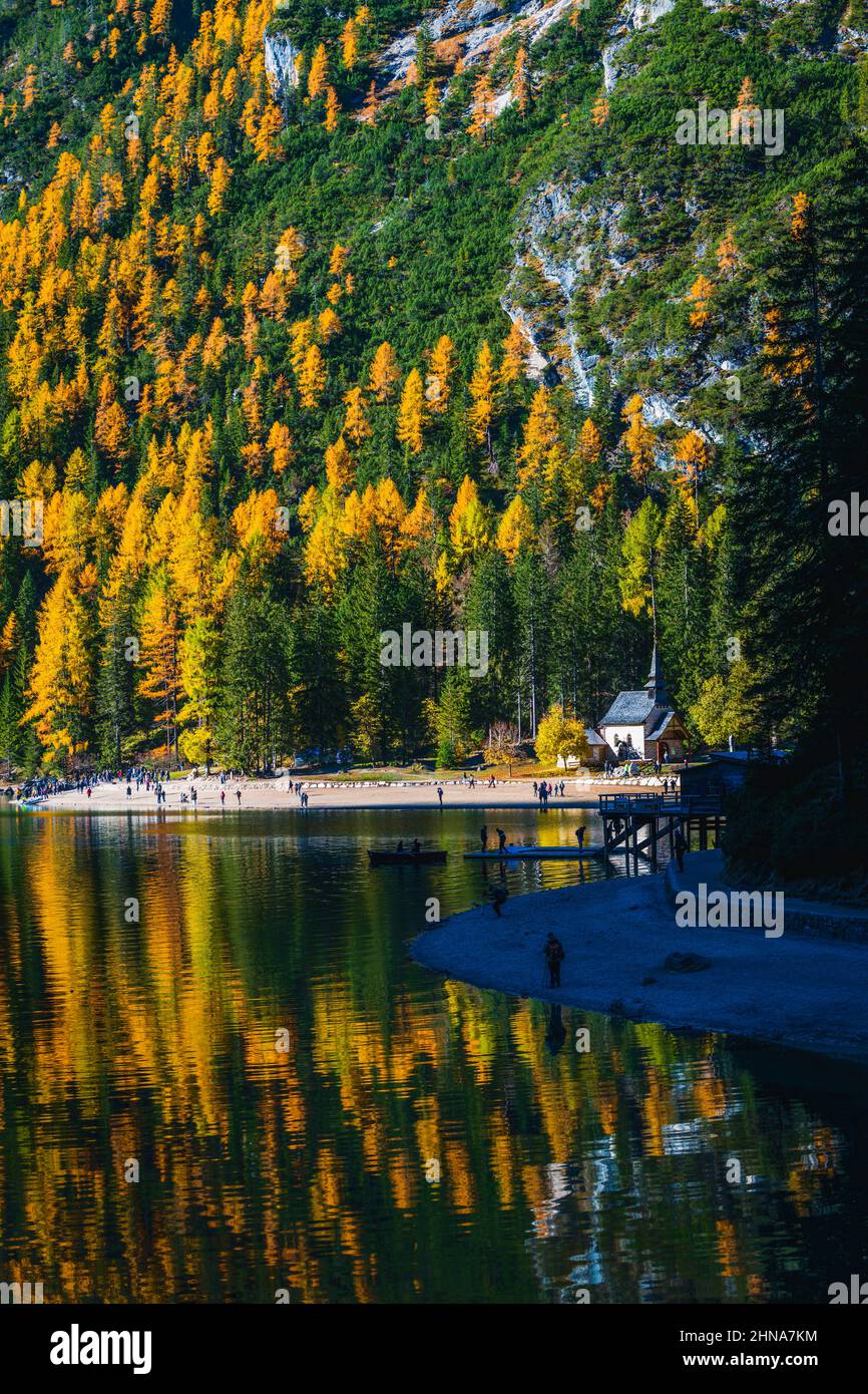 Autumn And Golden Reflections On Lake Braies Park Of The Dolomites Autumn And Golden Reflections On Lake Braies Park Of The Dolomites