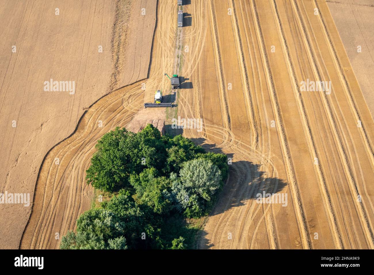 Aerial of farmland along the Eastern Shore of Maryland Stock Photo Alamy