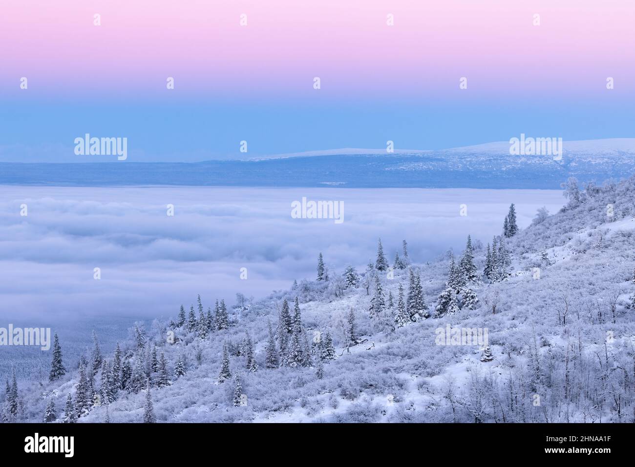 Belt of Venus at sunrise contrasts with fog over Eagle River and the ...