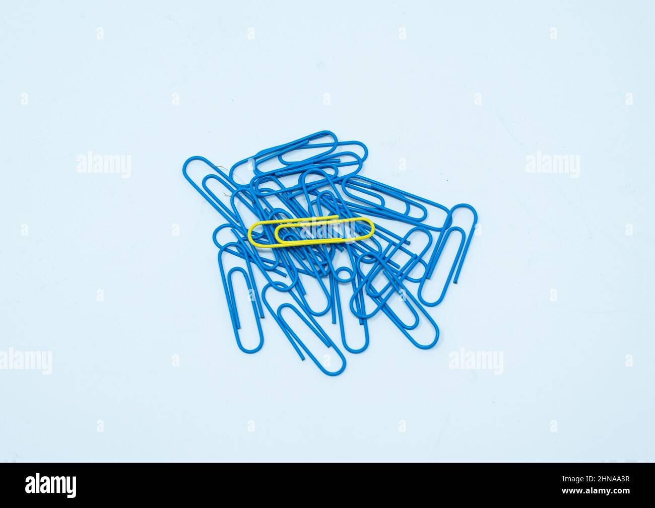 Multi coloured, blue and yellow paper clips in a pile on a plain white background. Stock Photo