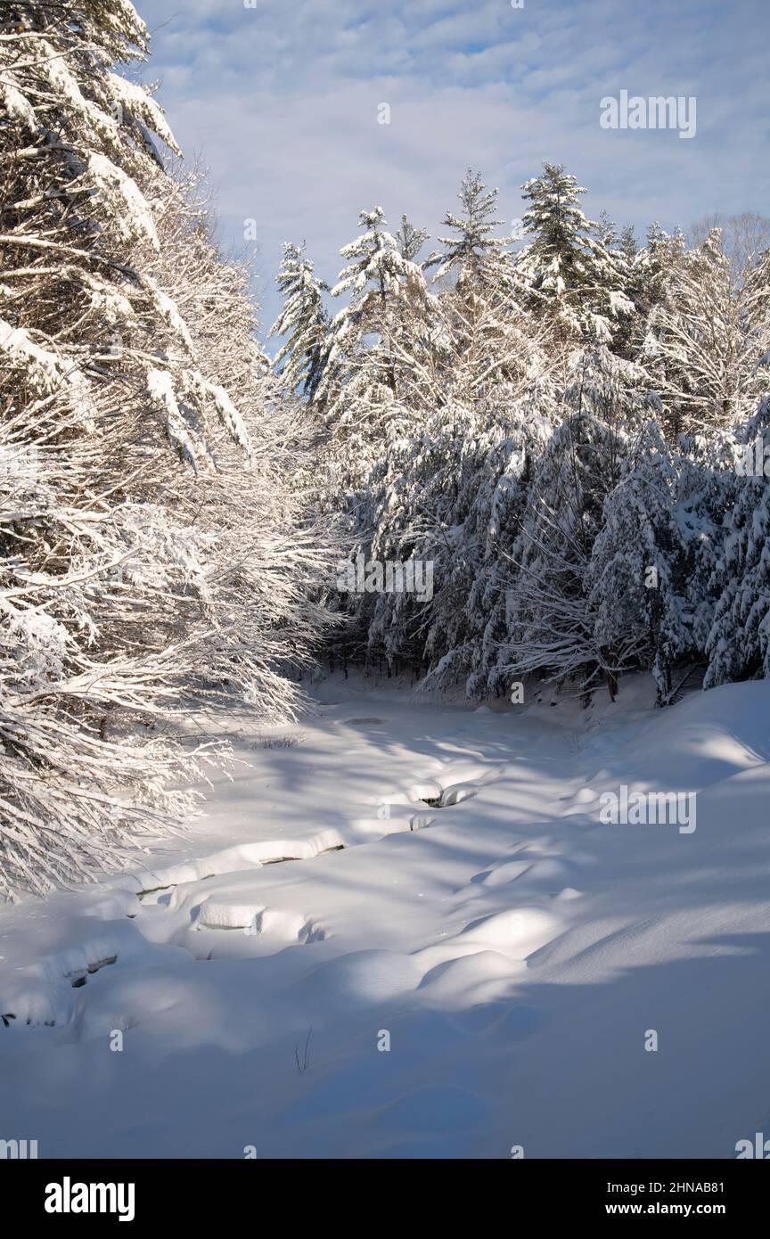 The White Mountain National Forest in Campton, New Hampshire, USA following a winter snow Stock