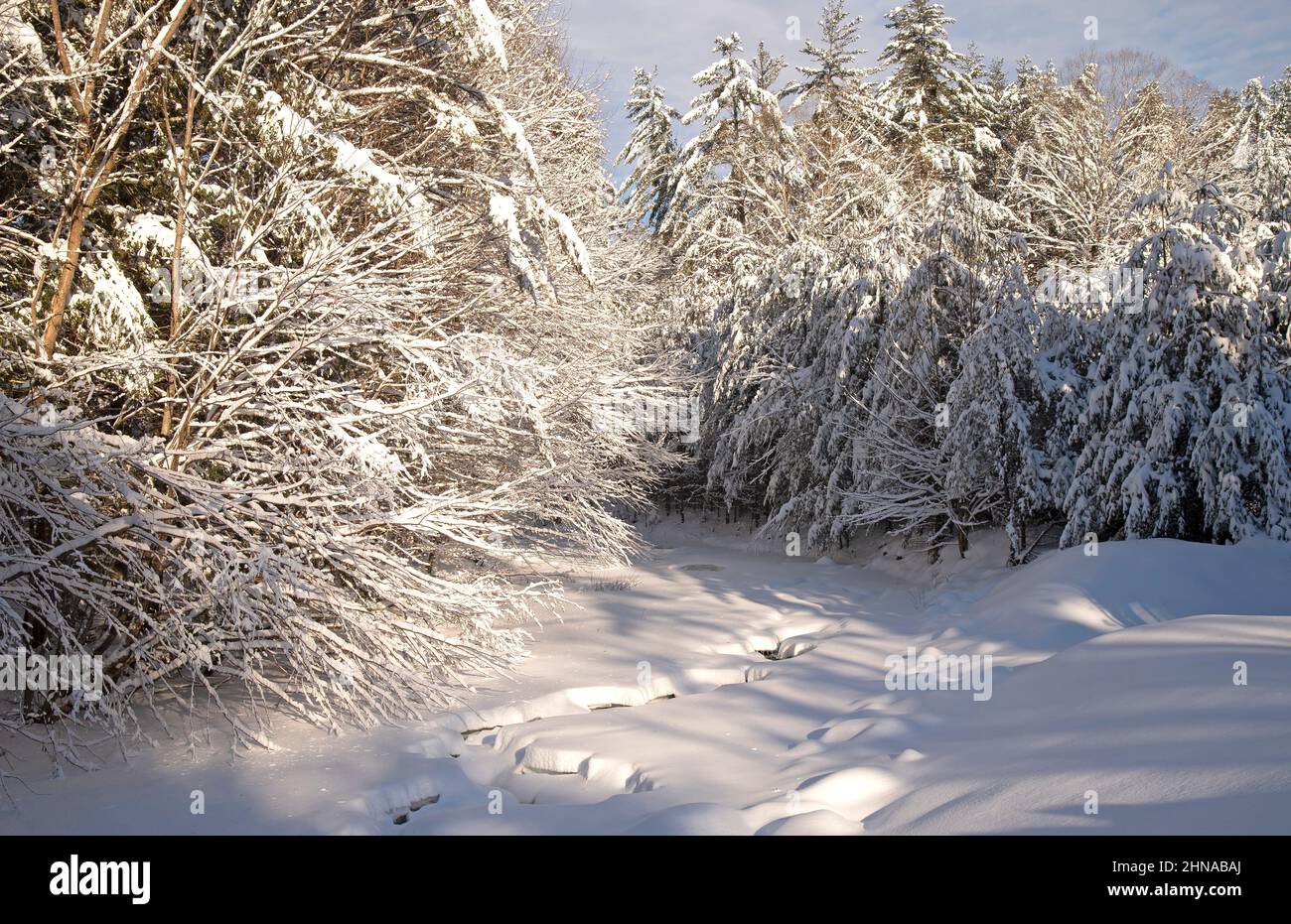 The White Mountain National forest in Campton, New Hampshire, USA