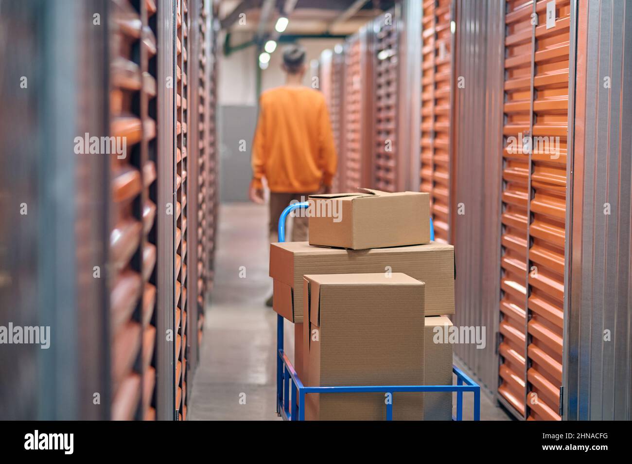 Warehouse employee working in the storage area Stock Photo Alamy