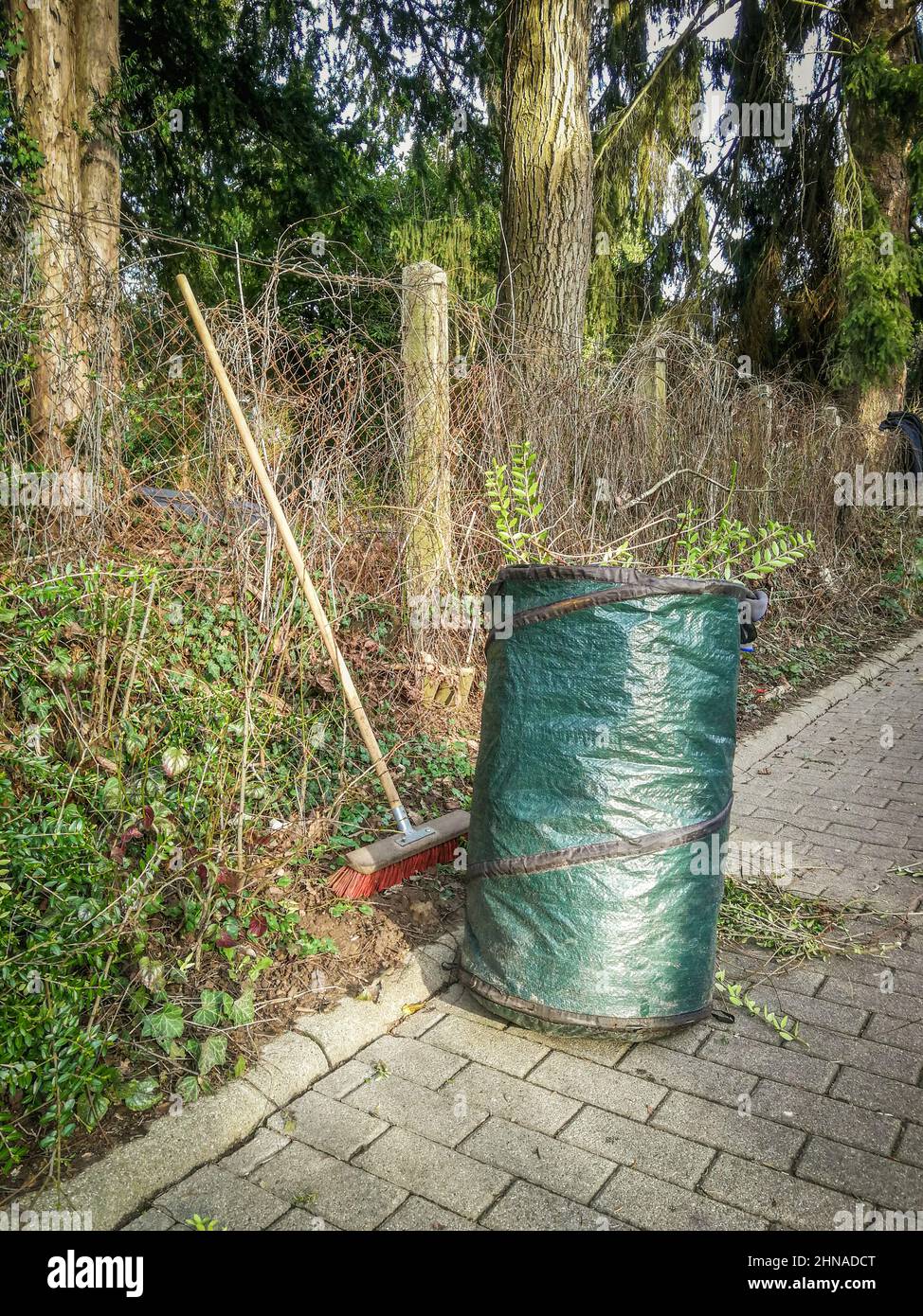 Garden Maintenance work. Green gardener bag and broom. Spring Hedge trimming at fence on a