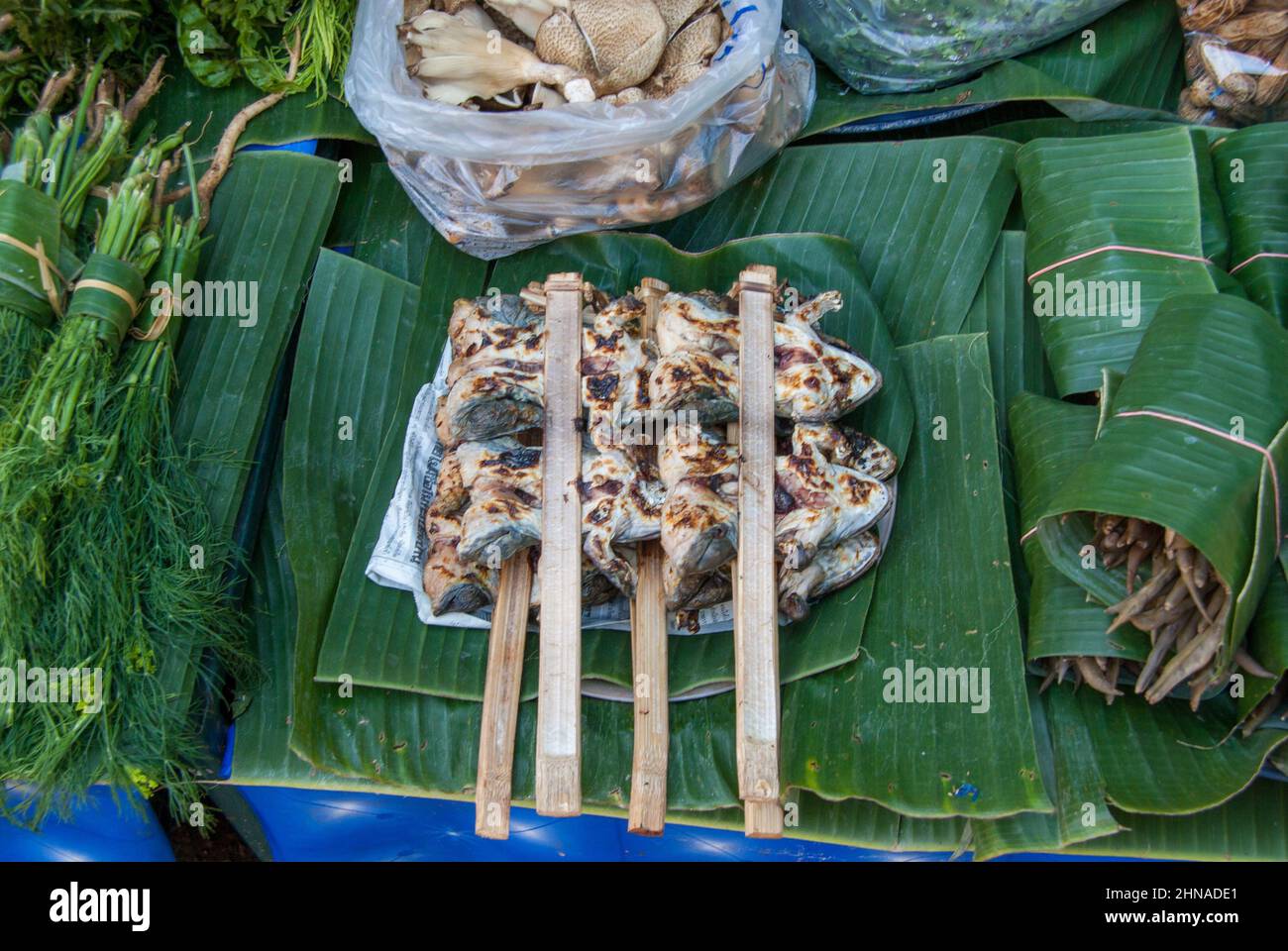 Fried frogs at a market in Laos Stock Photo