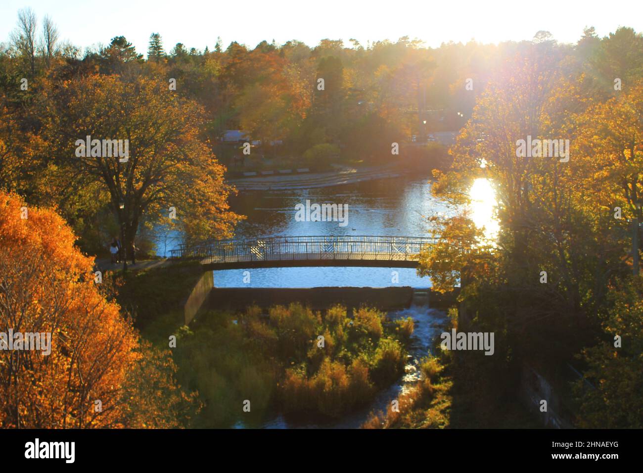 Autumn view of Bowring park, at the duck pond, sunset. Stock Photo