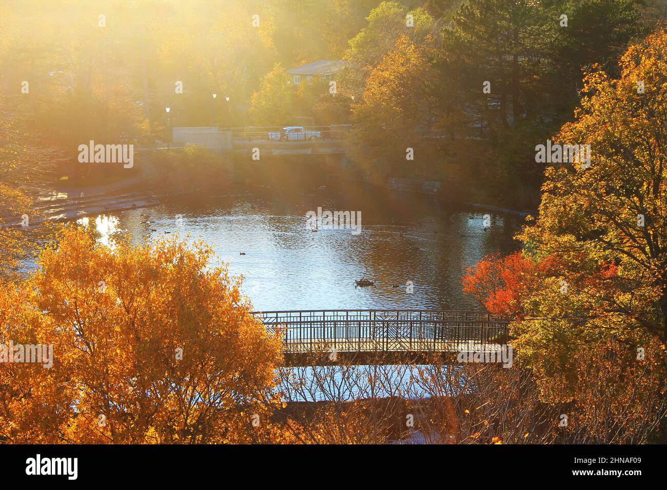 Autumn view of Bowring park, at the duck pond, sunset. Stock Photo