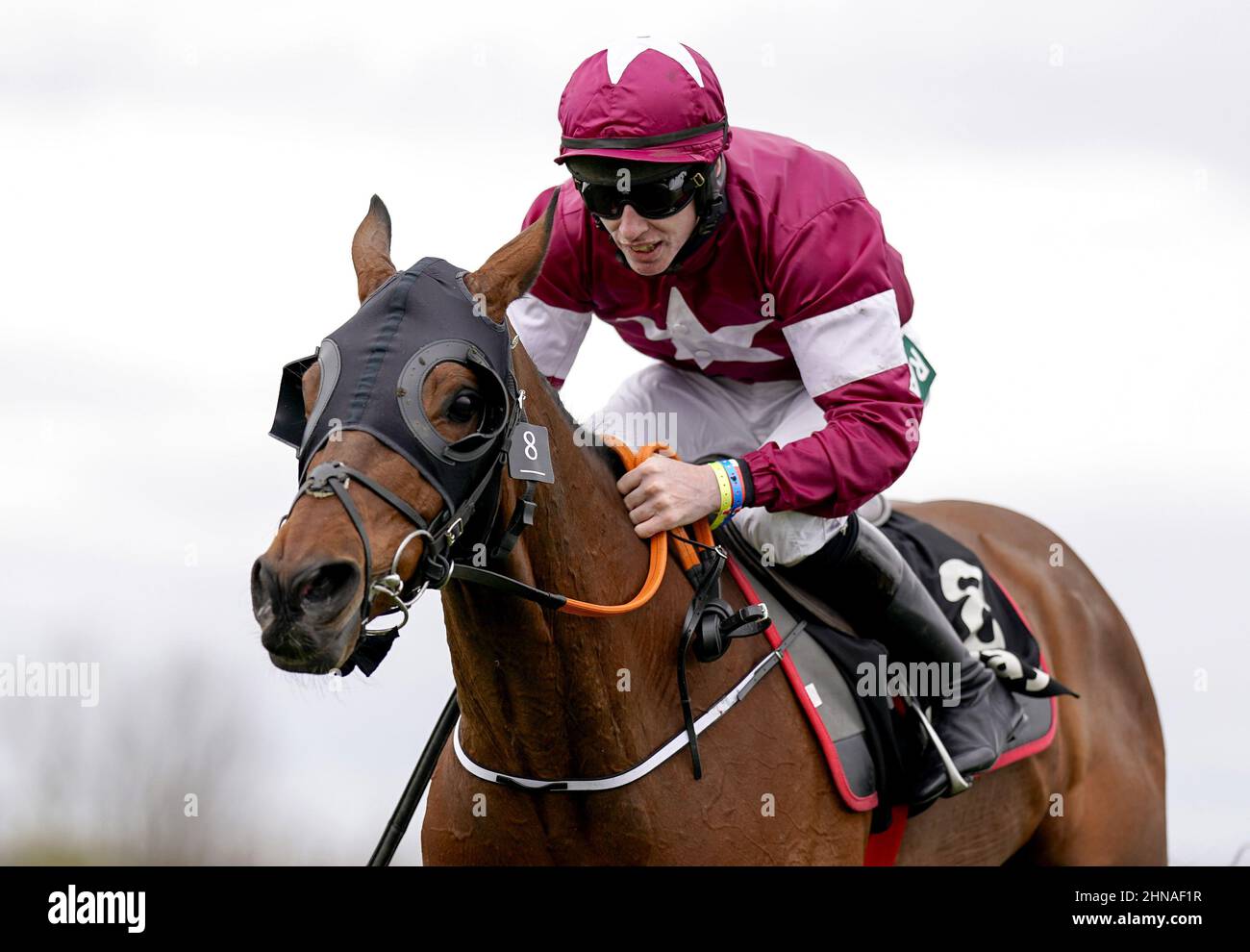 File photo dated 08-04-2021 of Tiger Roll, who will not bid for a record-equalling third Randox Grand National triumph after being ruled out of the Aintree spectacular by his owner Michael O'Leary. Issue date: Tuesday February 15, 2022. Stock Photo