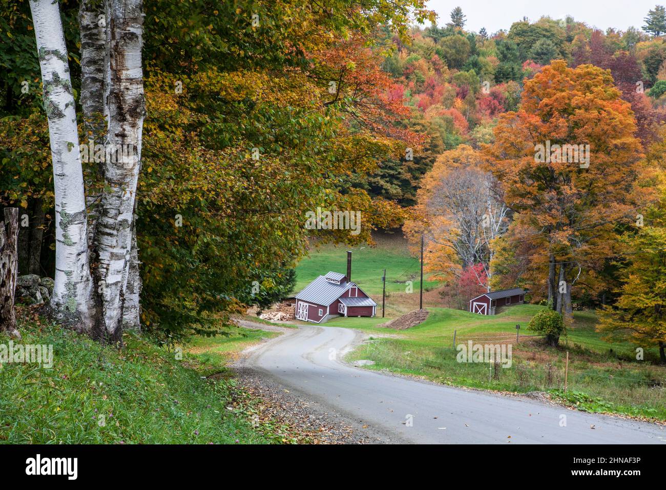Maple Syrup shack farm on a country road in Reading, Vermont, USA US Vt