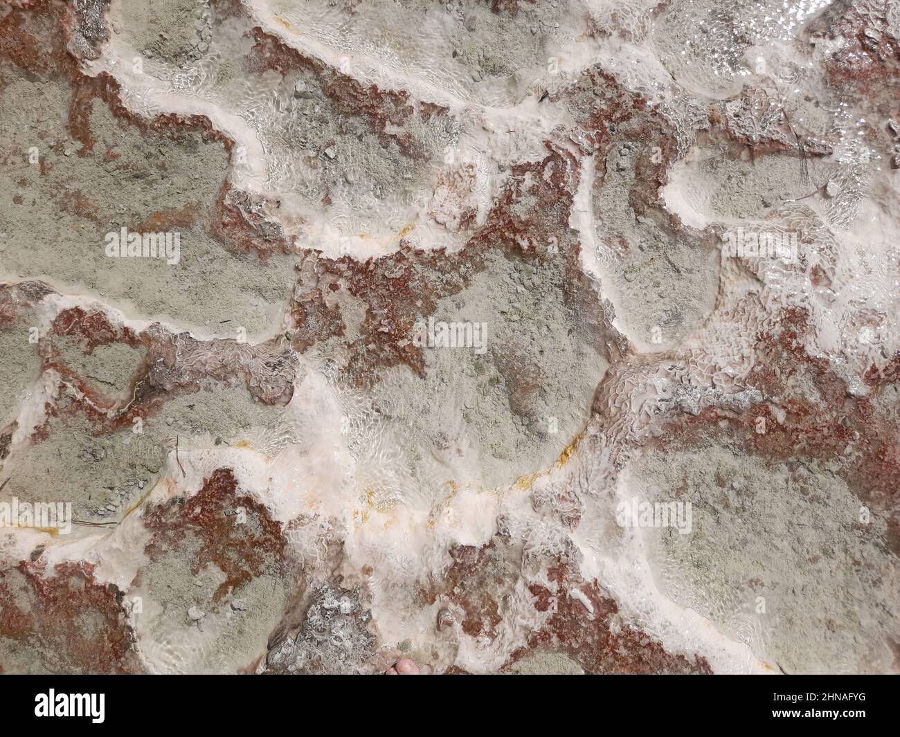 Background with the texture of travertine surface - red mineral line over the white limestone - like the coral on the sea floor. Pamukkale National Pa Stock Photo