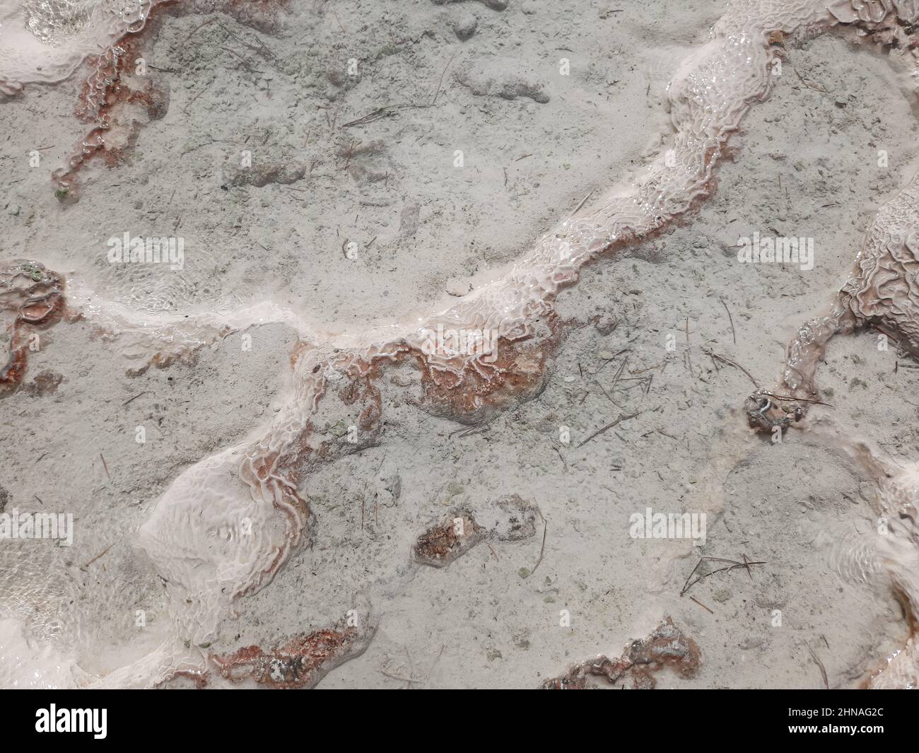 Background with the texture of travertine surface - red mineral line over the white limestone - like the coral on the sea floor. Pamukkale National Pa Stock Photo