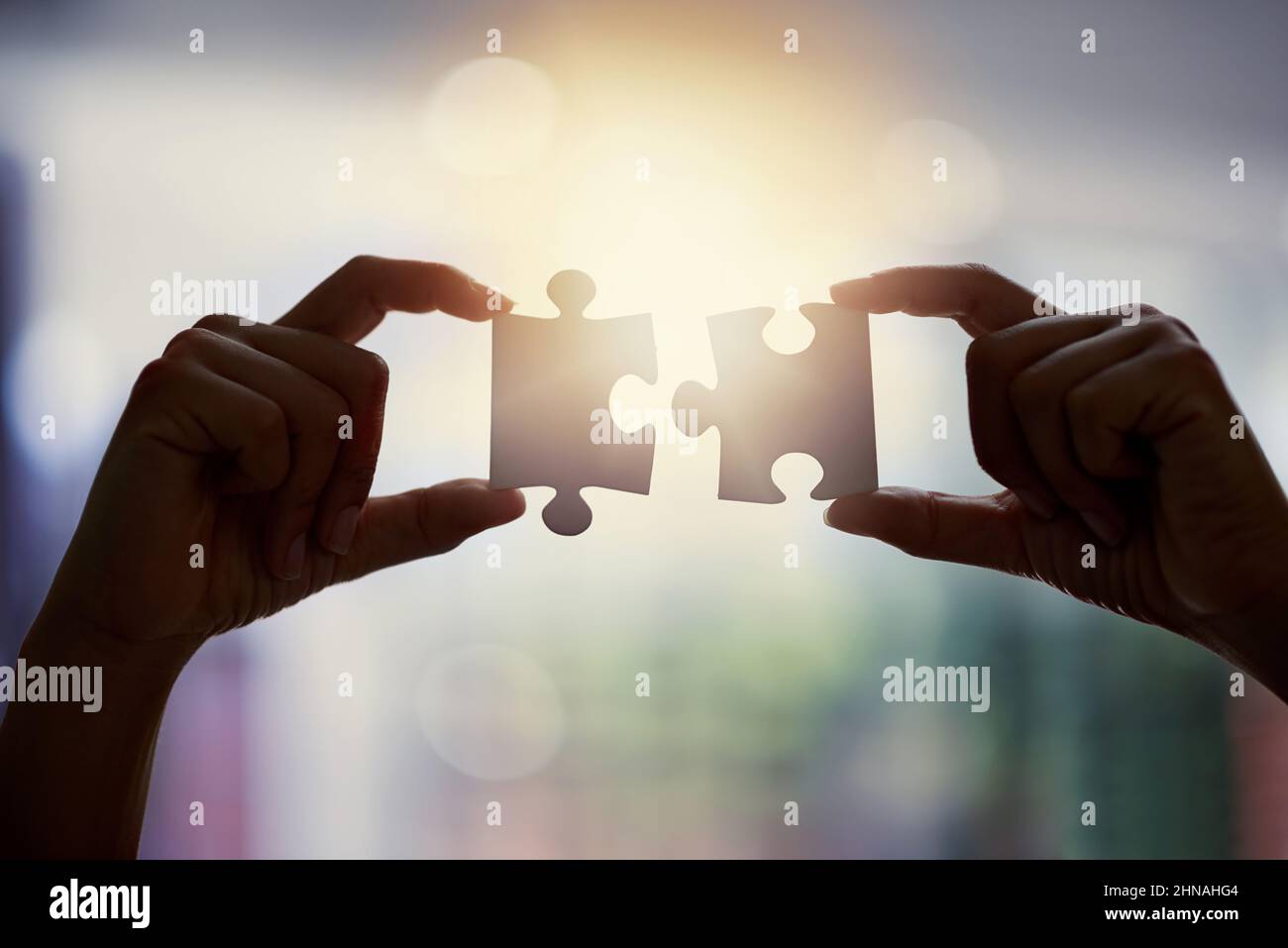 See the bigger picture. Closeup shot of an unidentifiable businesswoman holding two puzzle pieces together. Stock Photo
