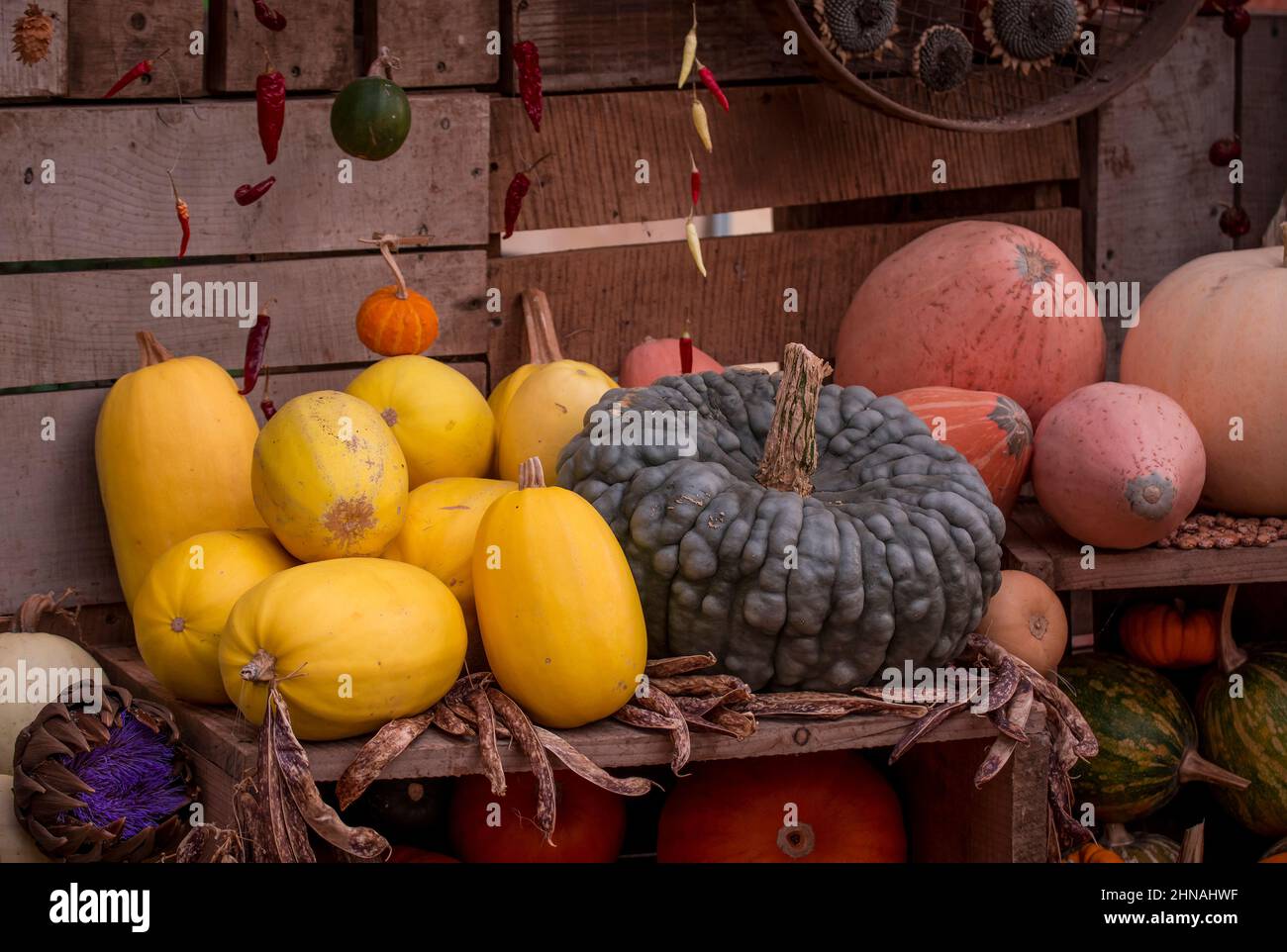 photo of pumpkins and vegetables display Stock Photo - Alamy