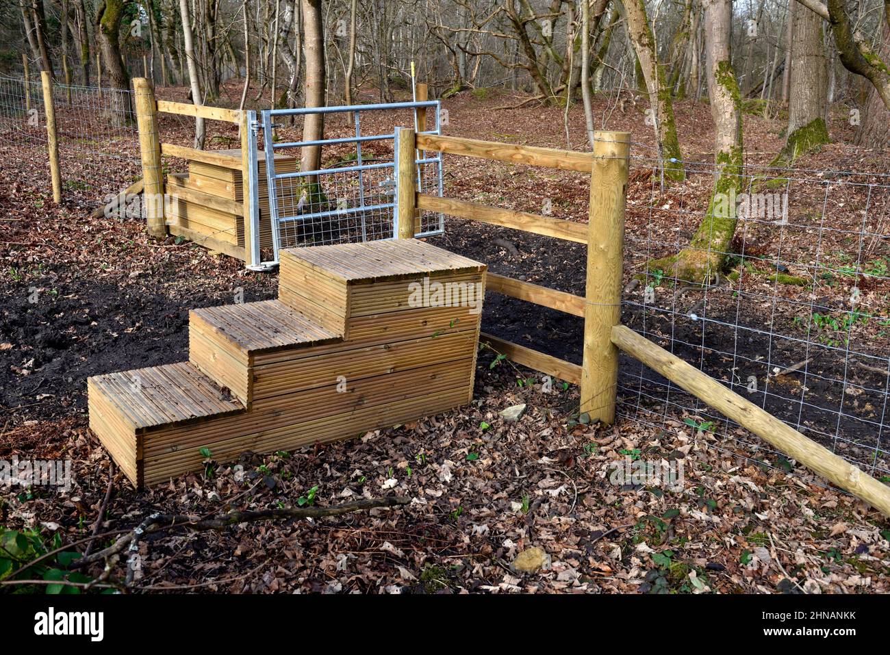 Horse mounting blocks for ease of getting on a horse at gate, which is