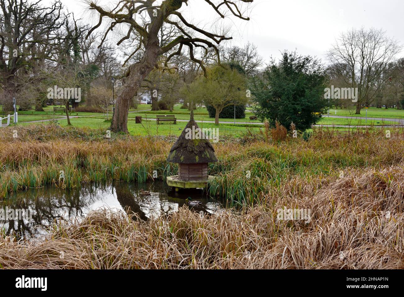 Duck pond with traditional duck house and Hartley Wintney Commons park behind, Hampshire, UK Stock Photo