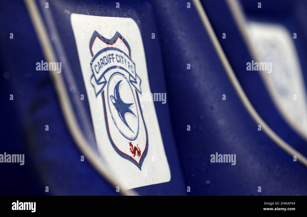 Detailed view of a Cardiff City badge during the Sky Bet