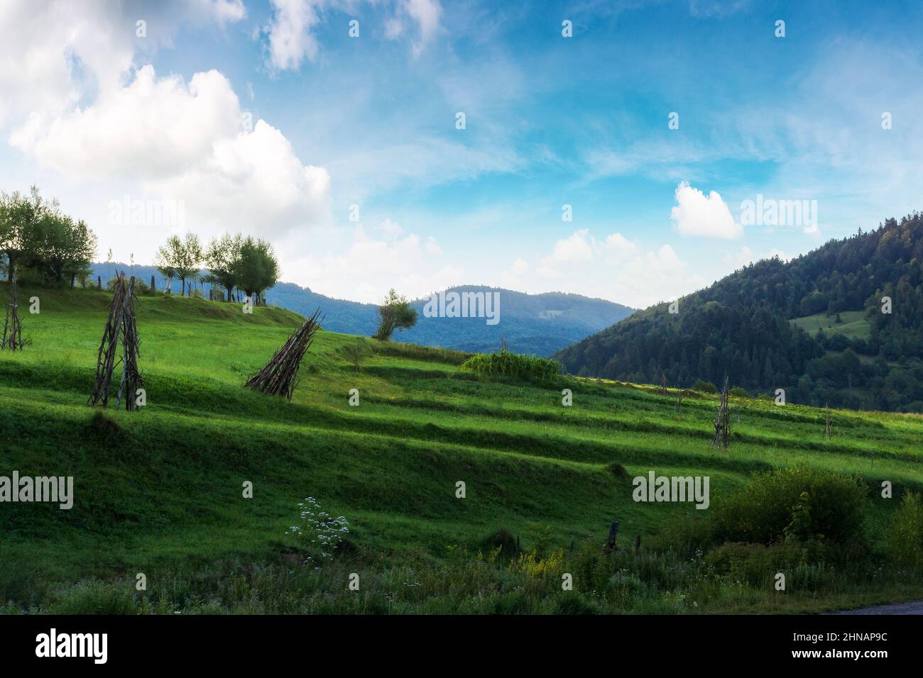 rural landscape in mountains at sunrise. haystacks on the hill near the forest. sunny morning weather with clouds on the sky. rustic carpathian scener Stock Photo