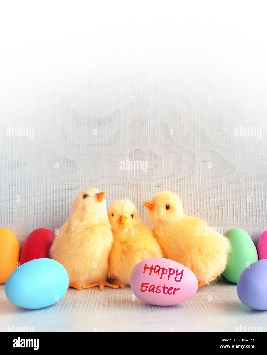 Easter eggs and yellow chicks on a grey background. The minimal concept. Easter card. Happy Easter. Stock Photo