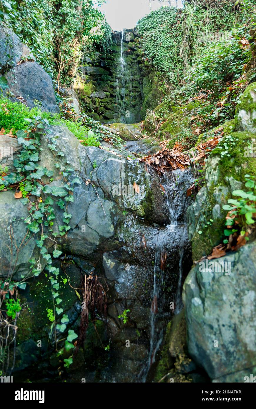 Typical corner with a small greenish waterfall with moss and green plants in Robledillo de Gata Stock Photo