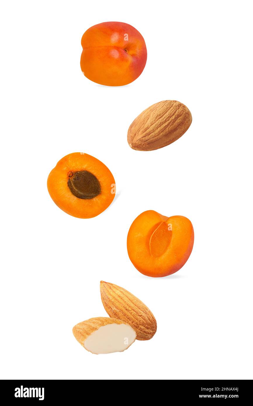 Cut apricot and almond isolated on white background with clipping path Stock Photo