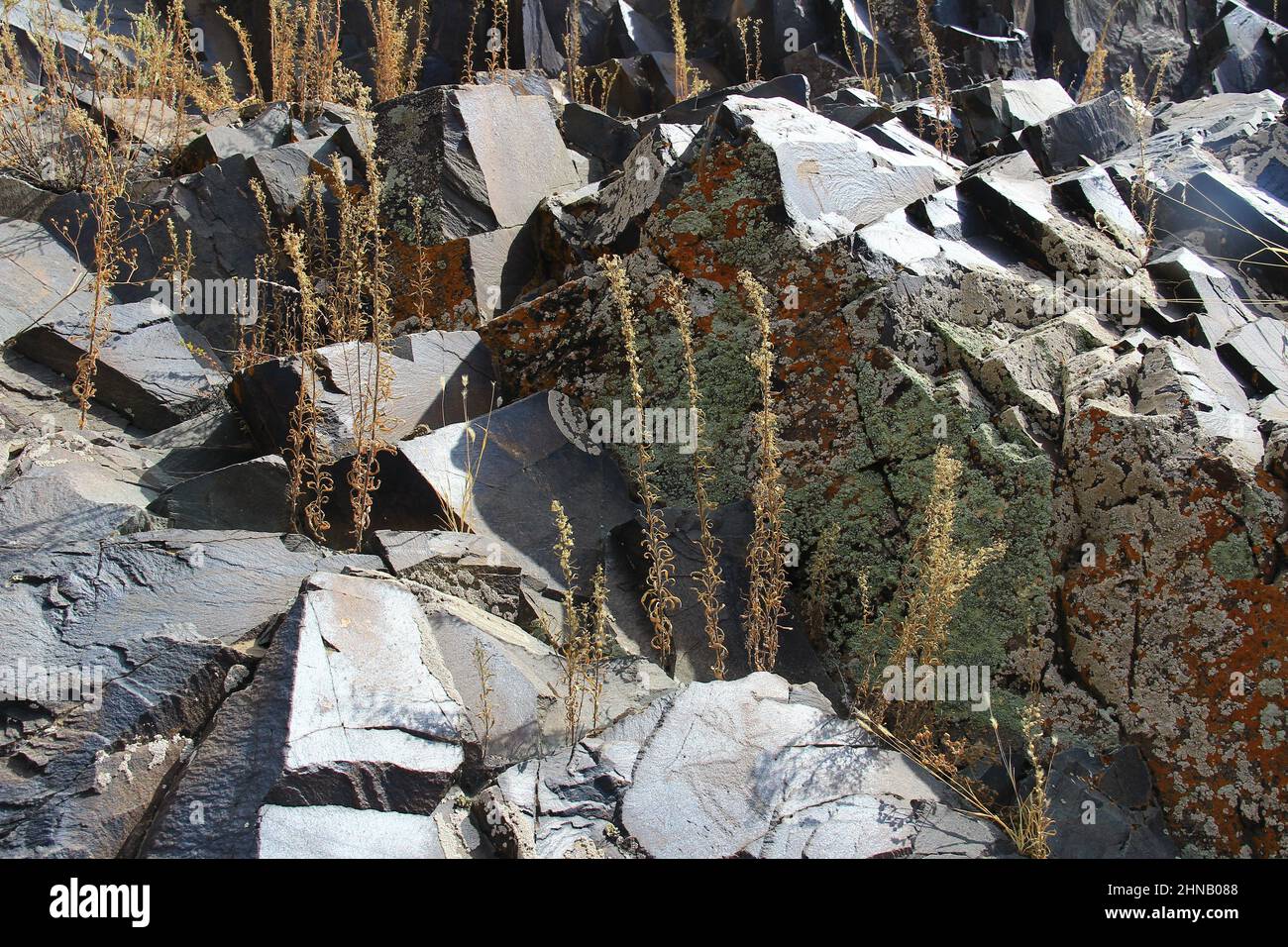 Large black stones with a flat surface and lichens under the bright sun in the Tamgaly Tas tract Stock Photo