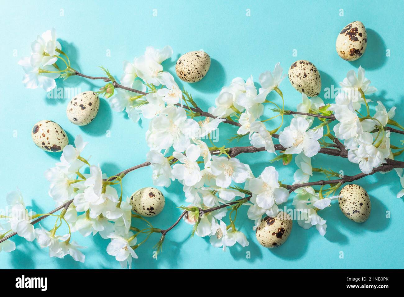 Happy Easter festive flat lay with blooming cherry and eggs. A ...