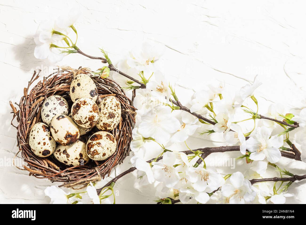 Happy Easter background with blooming cherry and quail eggs in a nest ...