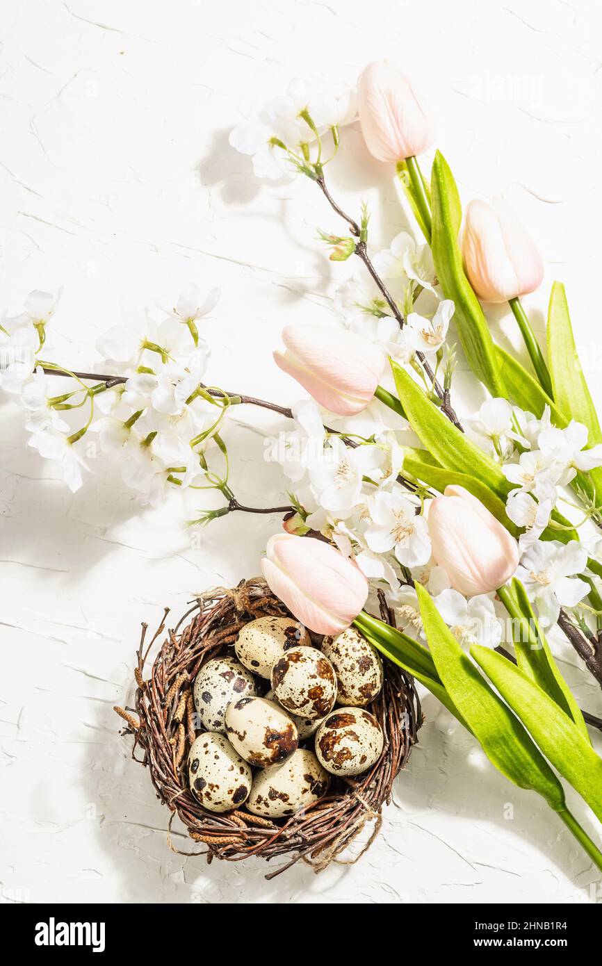 Happy Easter background with blooming cherry, tulips and quail eggs in ...