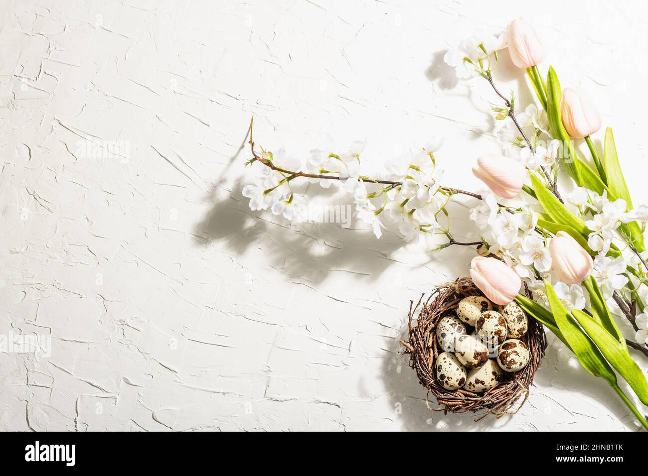 Happy Easter background with blooming cherry, tulips and quail eggs in ...