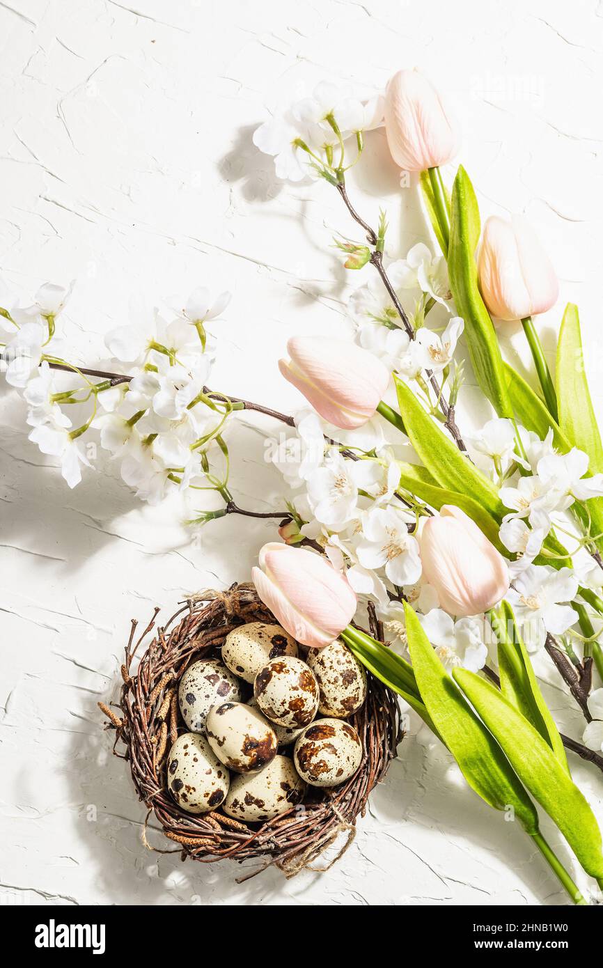 Happy Easter background with blooming cherry, tulips and quail eggs in ...