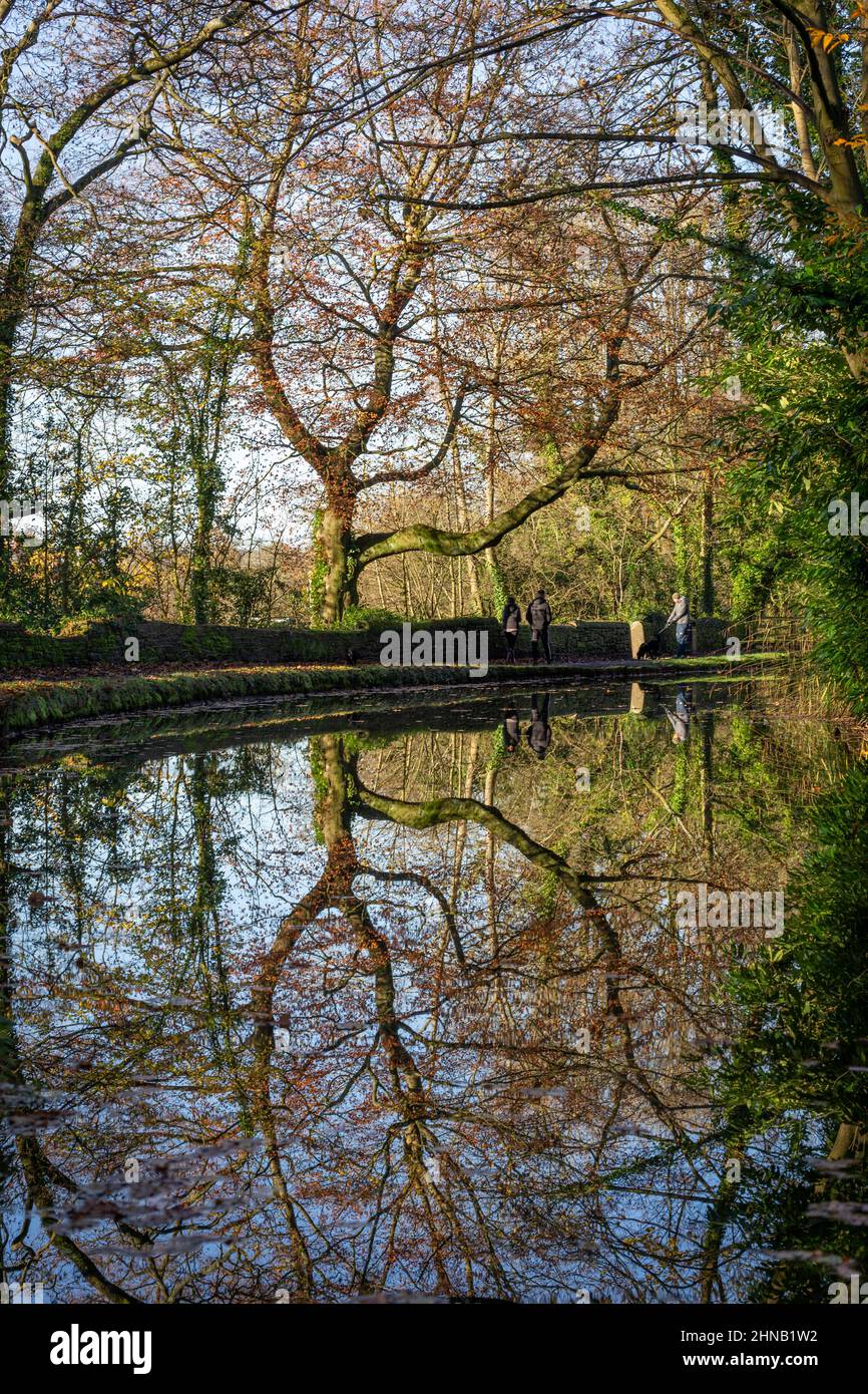 Autumn colours of the trees and their reflections in the Peak Forest Canal  between Chadkirk & Romiley.  Stockport, Greater Manchester, England, UK Stock Photo