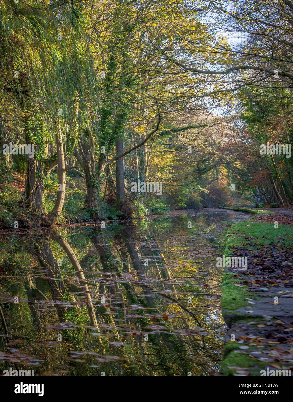 Autumn colours of the trees and their reflections in the Peak Forest Canal  between Chadkirk & Romiley.  Stockport, Greater Manchester, England, UK Stock Photo