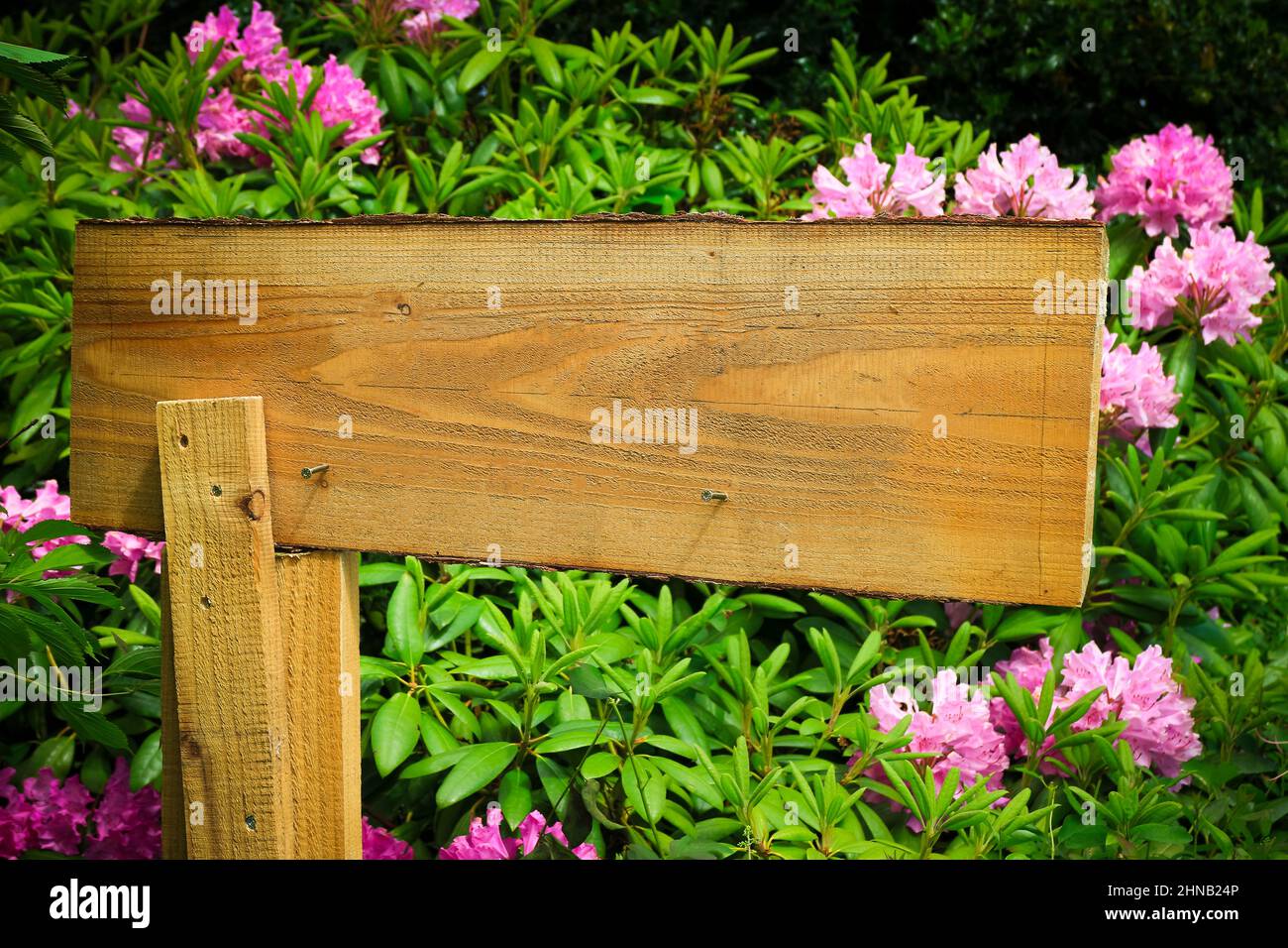 Rustic blank wooden signpost in the garden in front of a flower bed Stock Photo