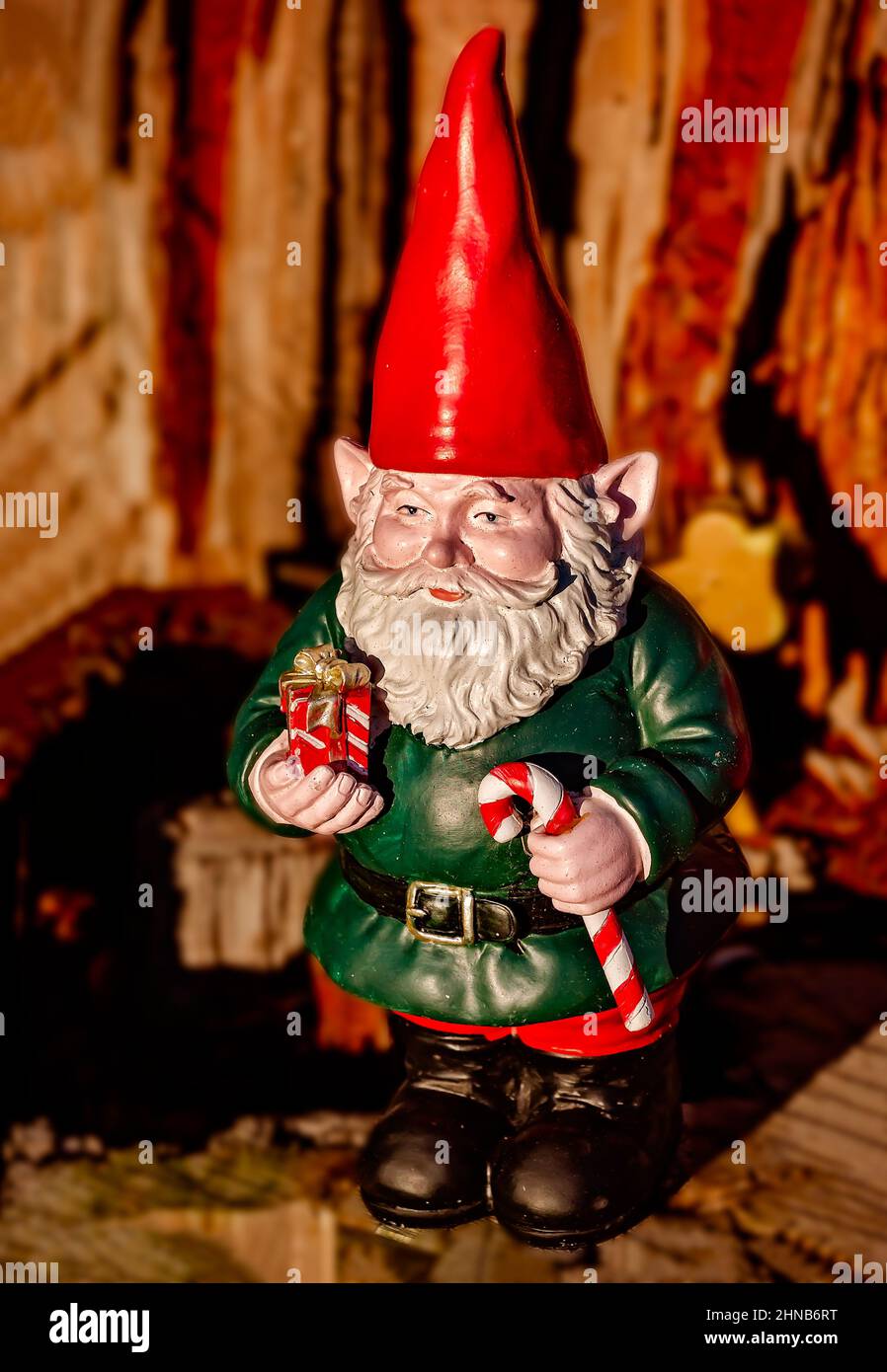 A seasonal garden gnome stands at the base of a tree, Feb. 9, 2022, in Dauphin Island, Alabama. Stock Photo