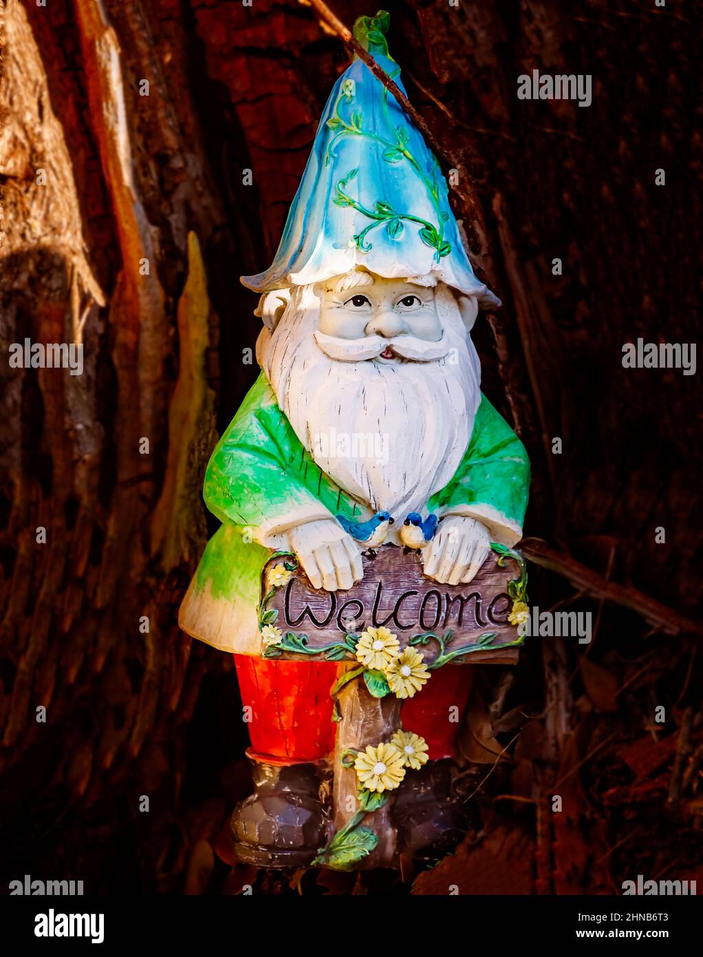 A garden gnome stands at the base of a tree, Feb. 9, 2022, in Dauphin Island, Alabama. Stock Photo