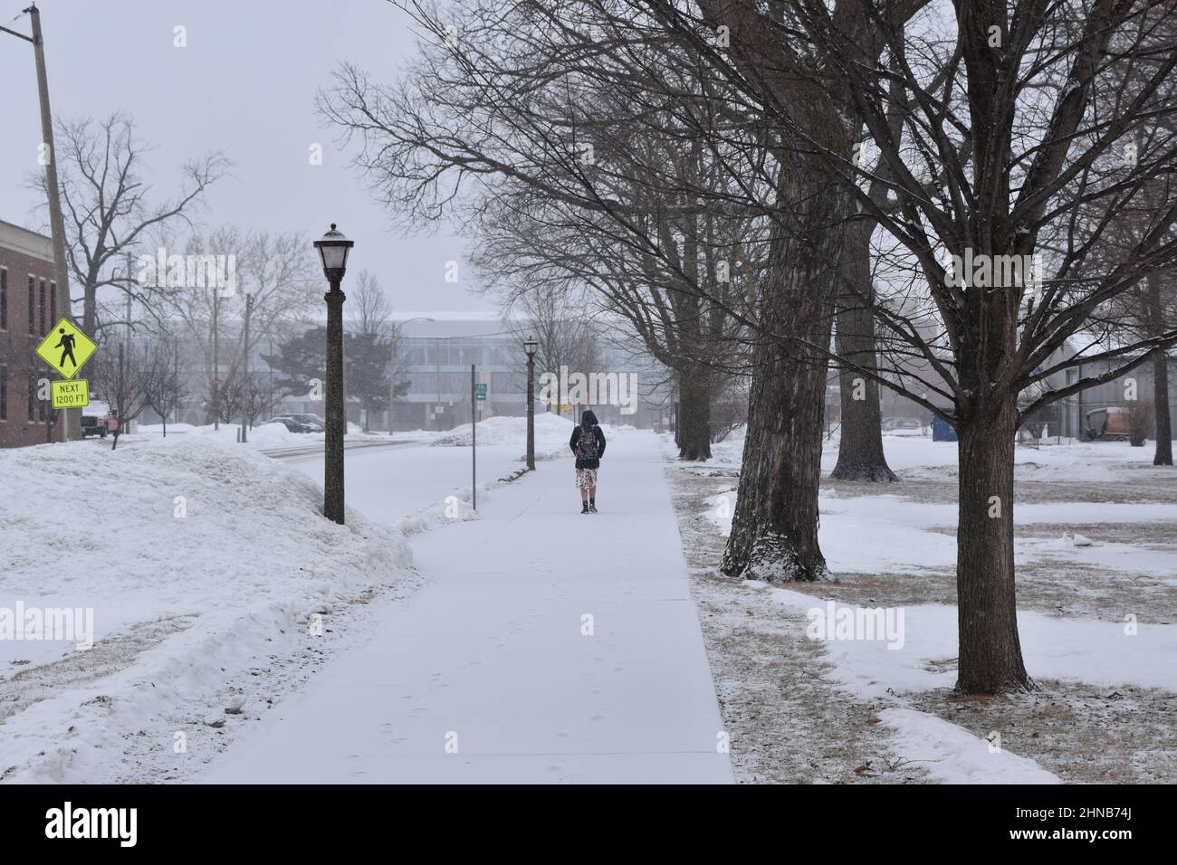 A girl in a beautiful dress walking to class in the snow at Illinois State University, Normal IL, USA Stock Photo