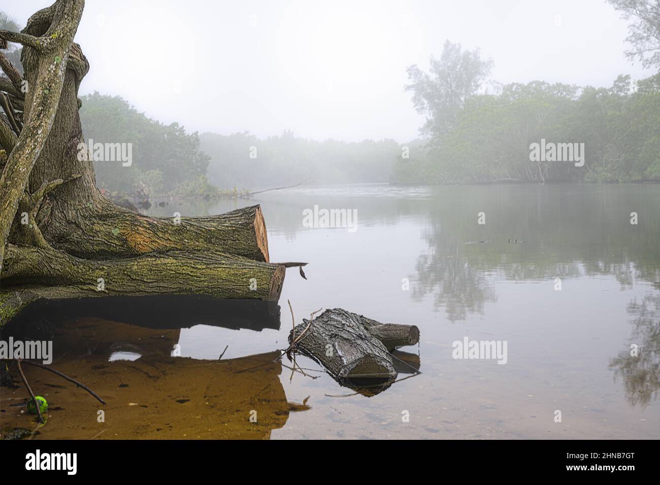 A cloud of mist floats over the El Rio canal in Boca Raton at dawn Stock Photo