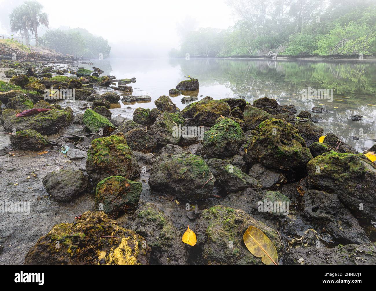 Early morning mist rising from the El Rio canal in Boca Raton Stock Photo